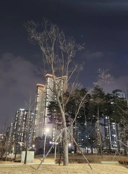 499221124_2710971875959156_8821970585483785539_n.jpg?stp=dst-jpg_s600x600_tt6&_nc_cat=110&ccb=1-7&_nc_sid=127cfc&_nc_ohc=EMh5owxJiNoQ7kNvwHicEEZ&_nc_oc=Adn_OTvkbDFB5FC8gvFojh64I-jcqWDLFFdyXj2RiYe7EZMkTjGG7EVjil6JgQdWadk&_nc_zt=23&_nc_ht=scontent-icn2-1.xx&_nc_gid=c9uBUjU0H2nLfxV9qhAjbg&oh=00_AfVuUrnfDYhvjyAZKlaIre_KMC1TlBdvsea5JwTkG0cW0A&oe=689A8951