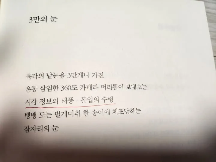 498205327_2709762526080091_8211866213438795640_n.jpg?stp=dst-jpg_s720x720_tt6&_nc_cat=111&ccb=1-7&_nc_sid=127cfc&_nc_ohc=aoaL9bCGcpkQ7kNvwEZKjft&_nc_oc=AdniAsew4h9poXyYeZpw_edDZAqzETRaZHEWwxVxiXC1spw-BBA98m5JId4QLO-wCzw&_nc_zt=23&_nc_ht=scontent-icn2-1.xx&_nc_gid=TpUKhygw7mz0xKmaxmerzg&oh=00_AfVaIDNKGycdd9NstIctrK7Rfbc3s4aRLfEWNqkWKW_JeQ&oe=689CF10C