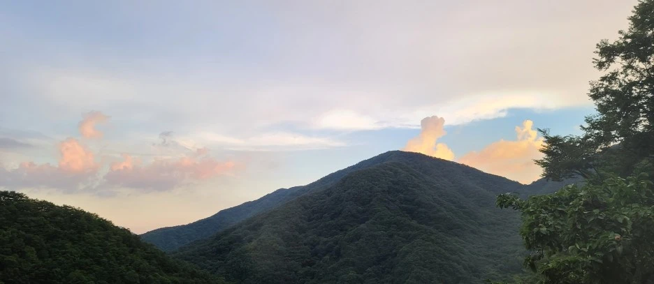 SE-882722f5-e800-47ab-ad85-c228fbde15e8.jpg?type=w1