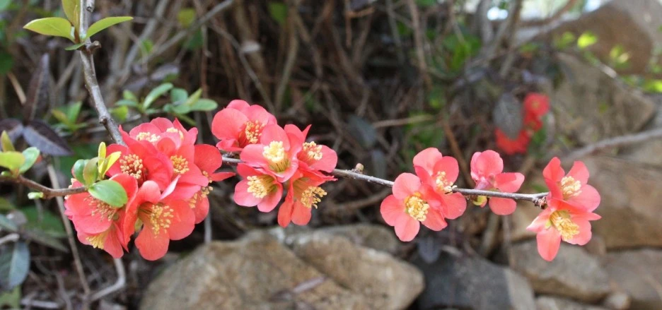 SE-379c8bc9-f259-4880-9ded-5acef861a22c.jpg?type=w1