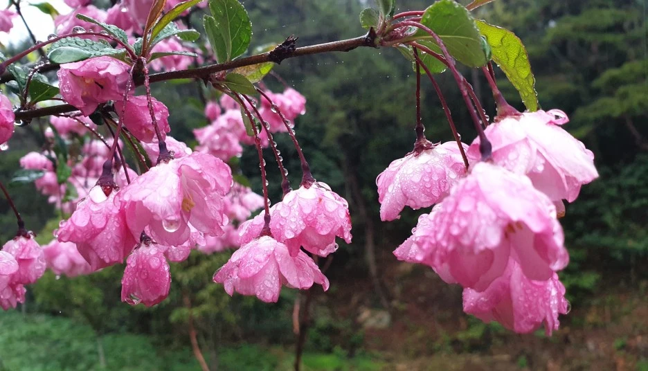 SE-6373013f-0667-4b5e-b744-708b3e0cba1e.jpg?type=w1