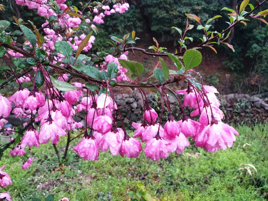 %EC%82%AC%EC%9B%94_%EC%9A%B0%EC%A4%91%EC%82%B0%EC%B1%85.jpg?type=w1