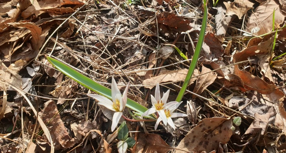 SE-b1c9cd1d-769d-4a61-bf34-dd839f8dfff0.jpg?type=w1