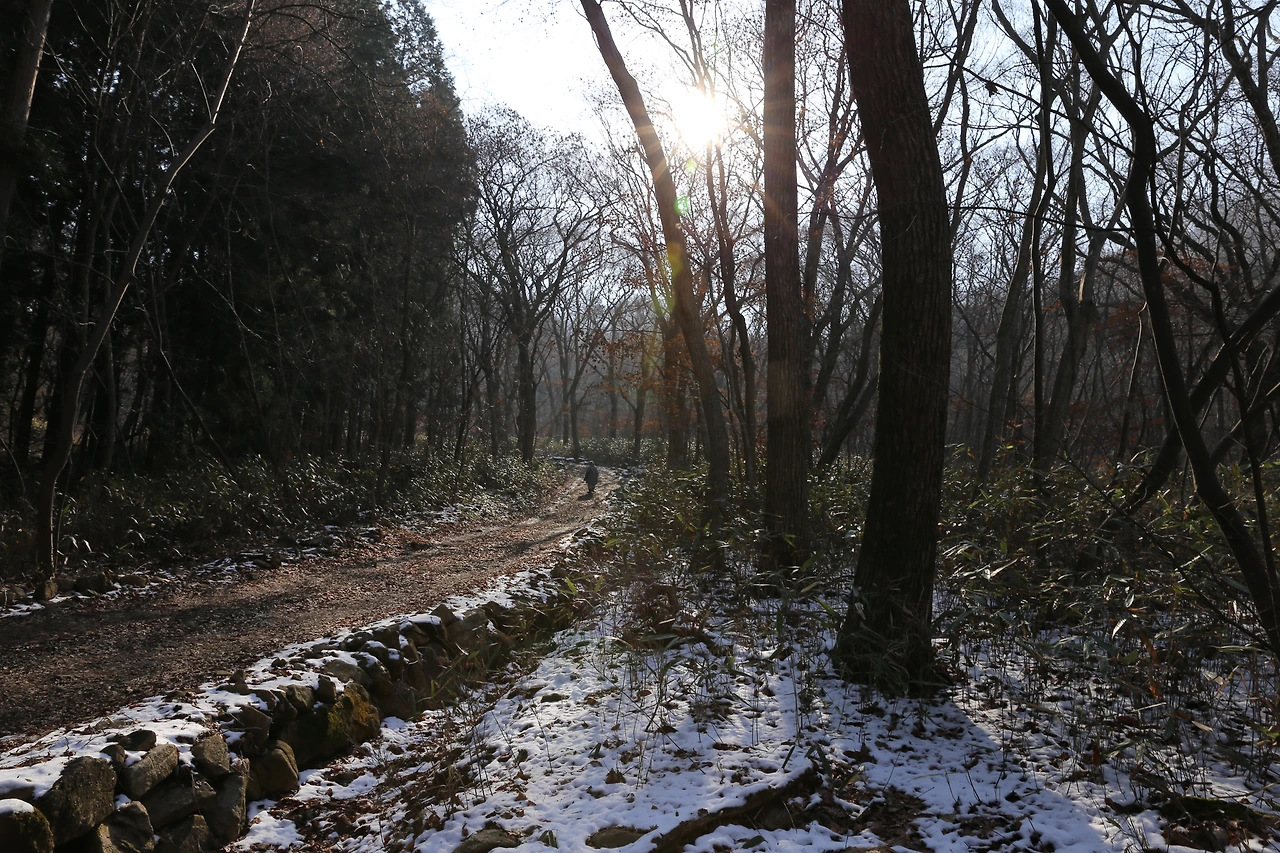 대승암초입 스님.JPG