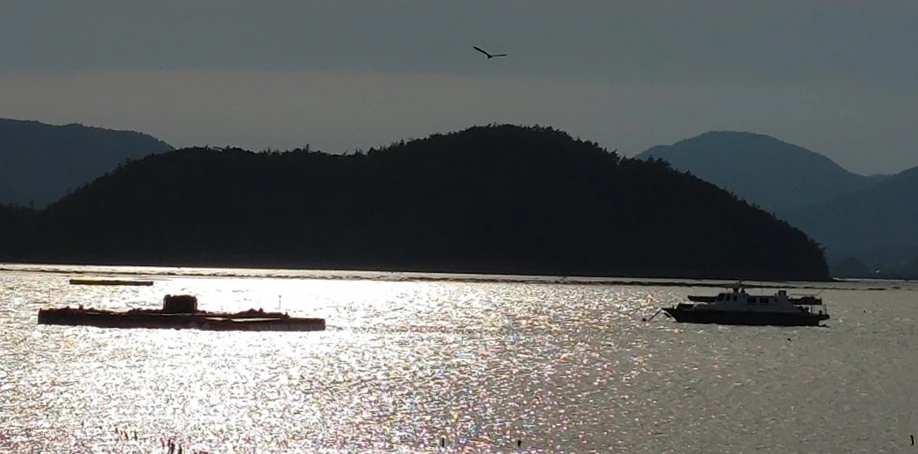 SE-a1365fc2-c941-4b6d-aa81-715554750010.jpg?type=w1