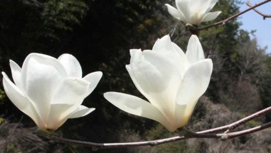 SE-2450a1d8-fbd2-4980-8ab1-b408be163fd9.jpg?type=w1