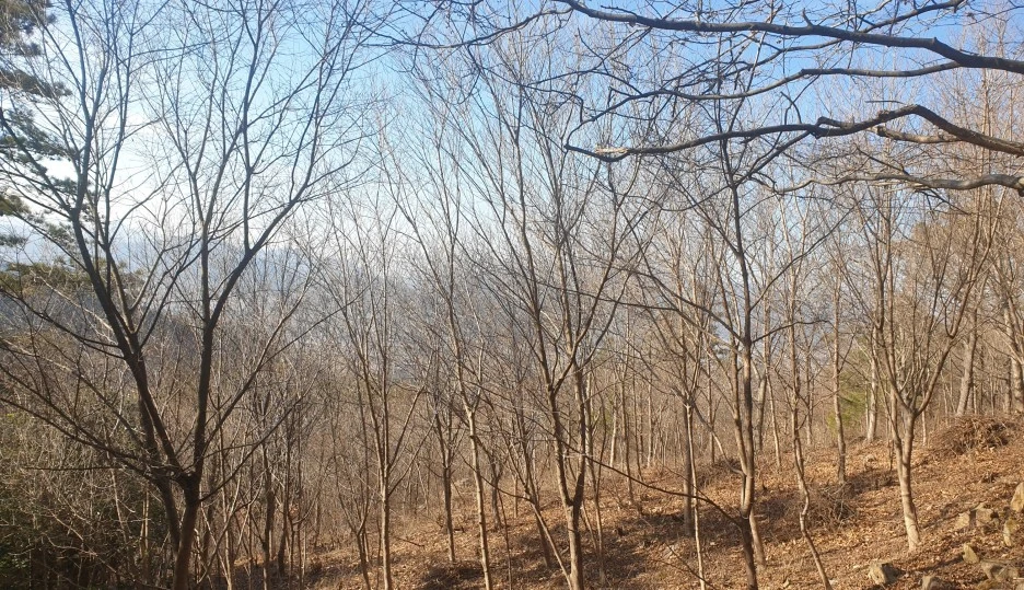 SE-f9dd64cf-0d74-420a-a80c-a94199dc61ea.jpg?type=w1