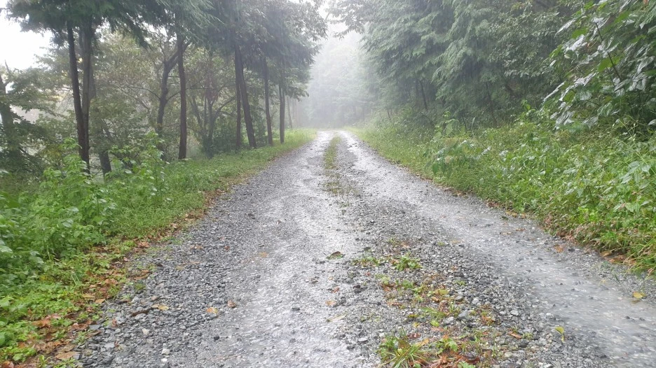 SE-42ba867f-f1ac-4970-a626-846a0874f308.jpg?type=w1