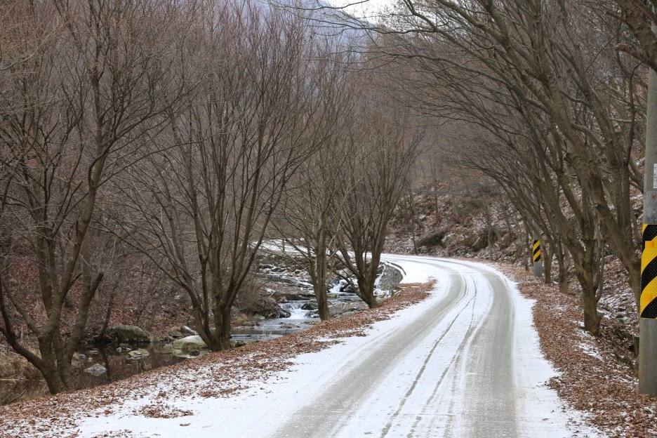 %EC%83%81%EC%9D%B4%EC%95%94%EA%B8%B8_2.JPG?type=w1