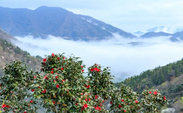 SE-8ed697b3-60e1-441c-ba45-5e28bddd8183.jpg?type=w773