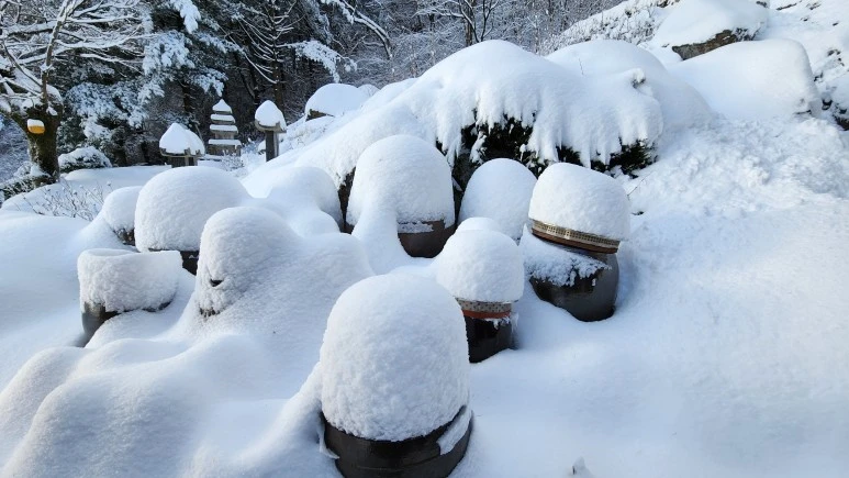 KakaoTalk_20231118_193649778_02.jpg?type=w773