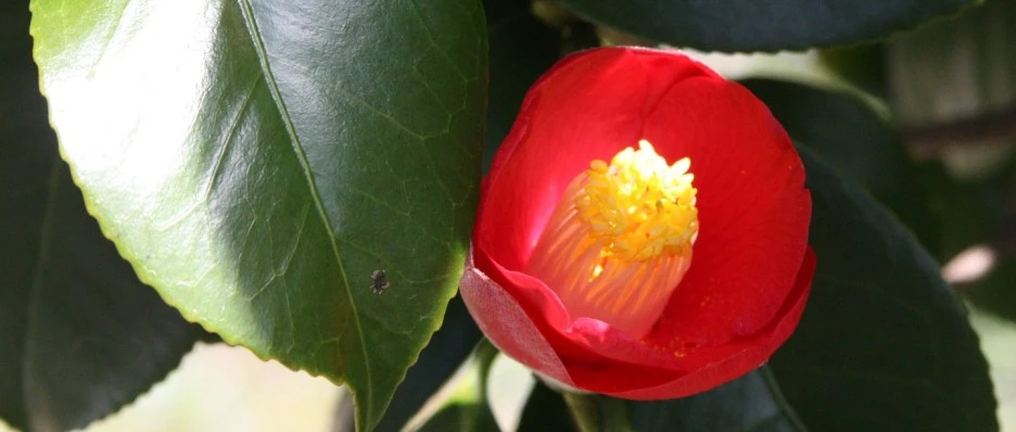 SE-b1a9b1ce-a2b3-4dcd-ab12-27456033a544.jpg?type=w1