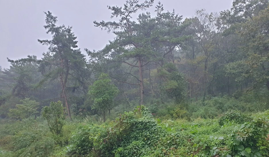 SE-35e99cb7-b35e-4846-9769-3c6a83af2b3d.jpg?type=w1