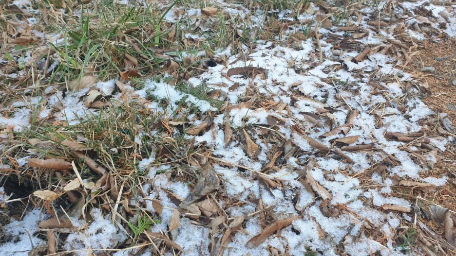 SE-6b5f76f0-178c-4a0c-8c80-1bb2d9c93b3a.jpg?type=w1