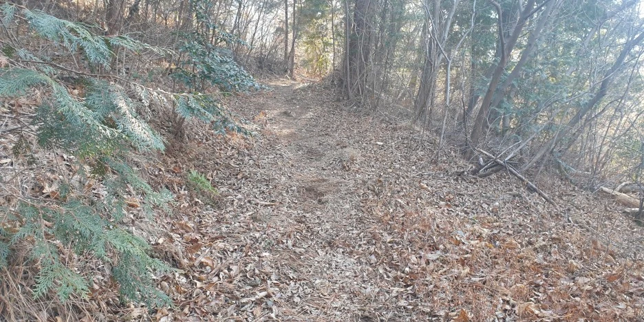 SE-725574be-f821-4868-974e-7cbe5193a97b.jpg?type=w1