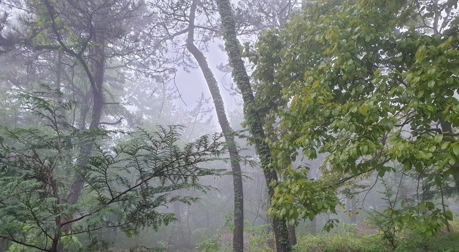 SE-1def2a38-9e4a-4279-a07b-b71f23c23f98.jpg?type=w1