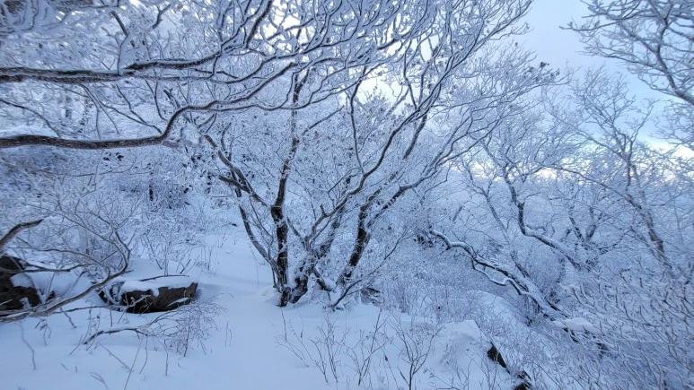 %EB%88%88%EA%B8%B8.jpg?type=w773