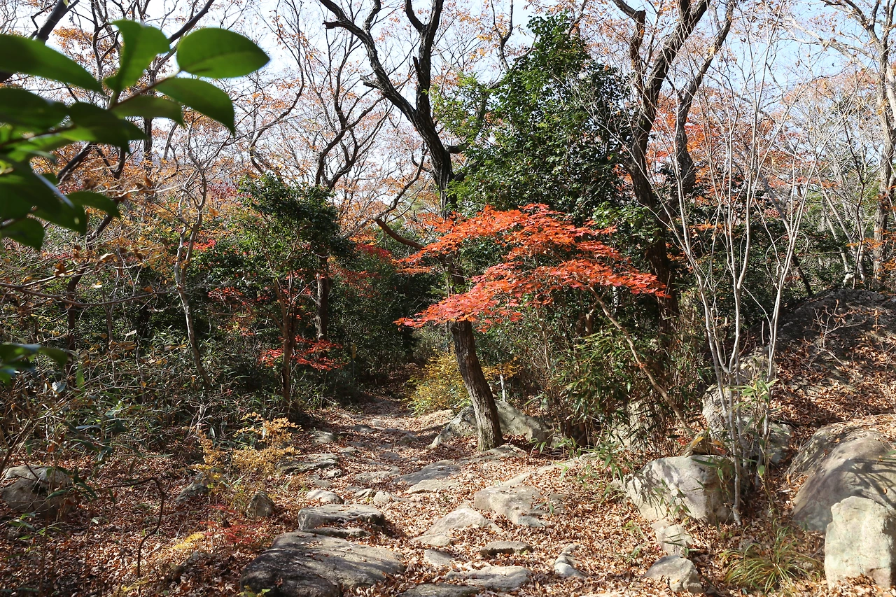 쓸쓸하지만 외롭지 않는 가을.JPG