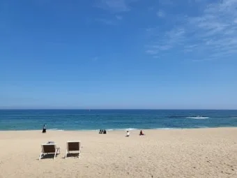 다운로드 (6).jpeg