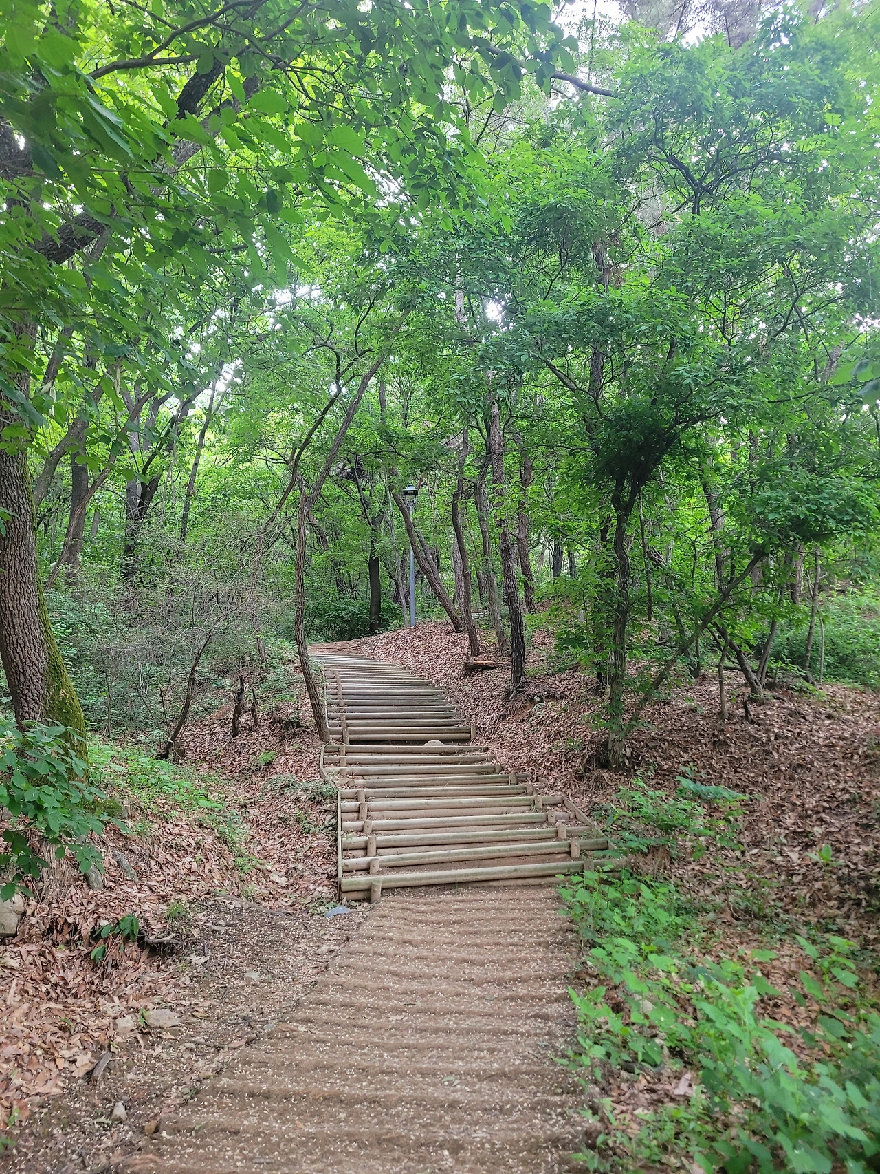 xN8DKi9zTQj0dfamZbyXhZwq3Qc