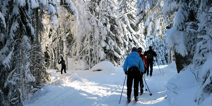 cross country ski.jpeg