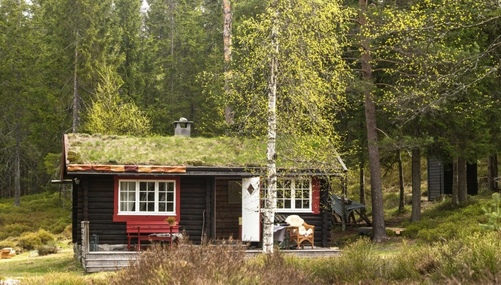 hytte 1.jpeg