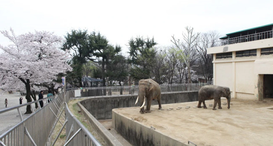 ndolpr7mup9tj4fie260nyjrm6fy