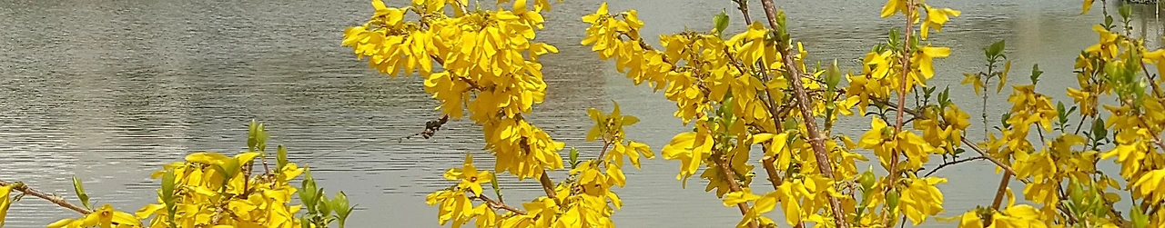 %EA%BD%835.jpg?type=w1600