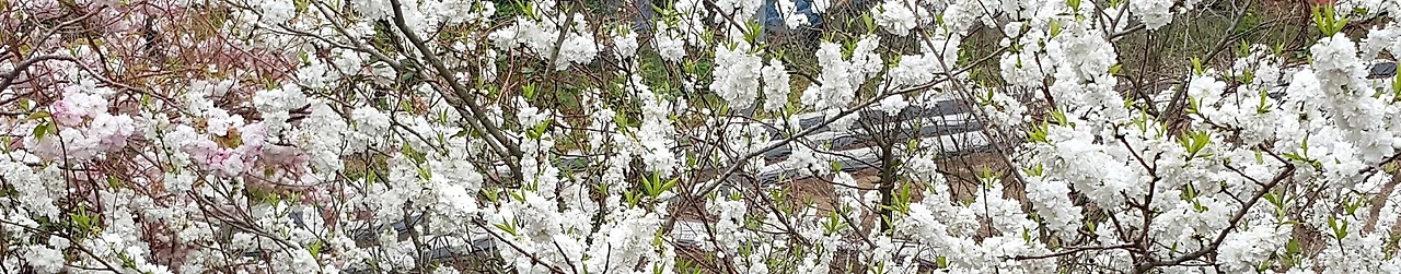 %EA%BD%831.jpg?type=w1600