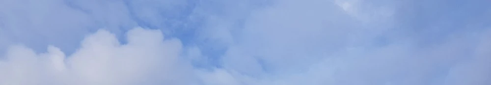 SE-8f2d4321-c35b-4fba-91ed-ec81c739a322.jpg?type=w1600