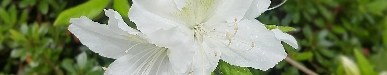 %EA%BD%832.jpg?type=w1600