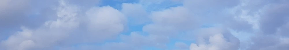 SE-1573cd3a-dadc-408d-b10a-81abfcbcffa5.jpg?type=w1600