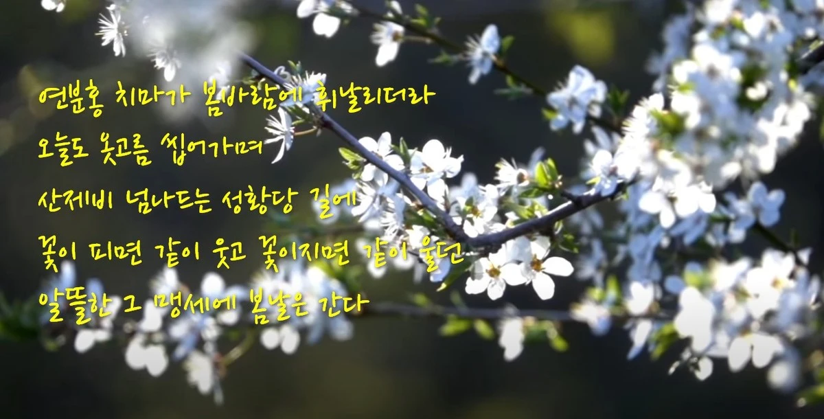 SE-c3bcdaf7-6c04-4ed8-bd77-11411ba1b5fe.jpg?type=w1600