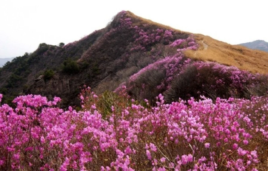 RU_Dvj63b6ZruTaJV1TQmvqolfY