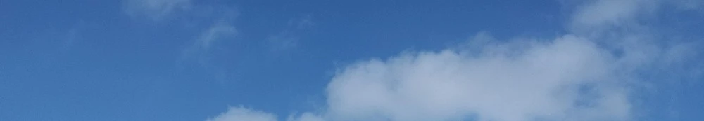 SE-196ec124-bf05-4b42-9af9-27bc1df9456c.jpg?type=w1600