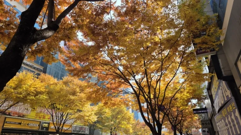 900%EF%BC%BF1762695703425.jpg?type=w773