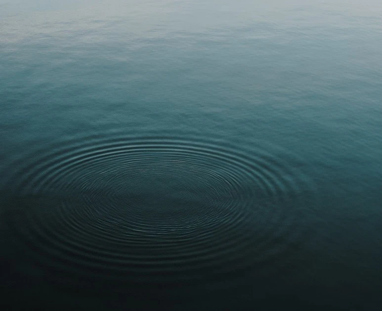 SE-86e096c9-292b-4a4e-b0ce-392cc04aa8f1.jpg?type=w773