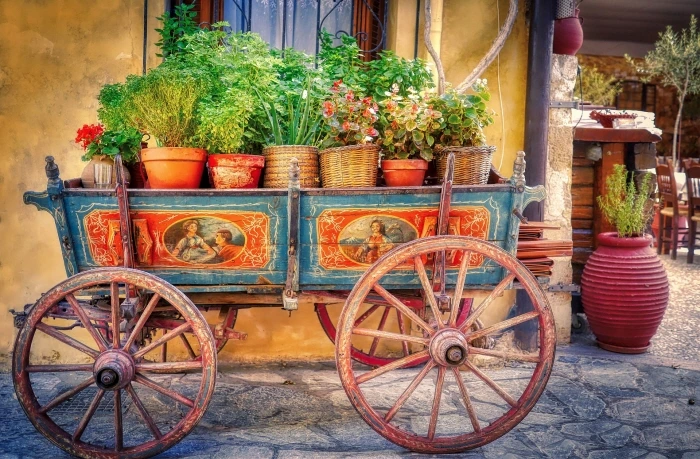 cart-g0d10cb273_1920.jpg?type=w1