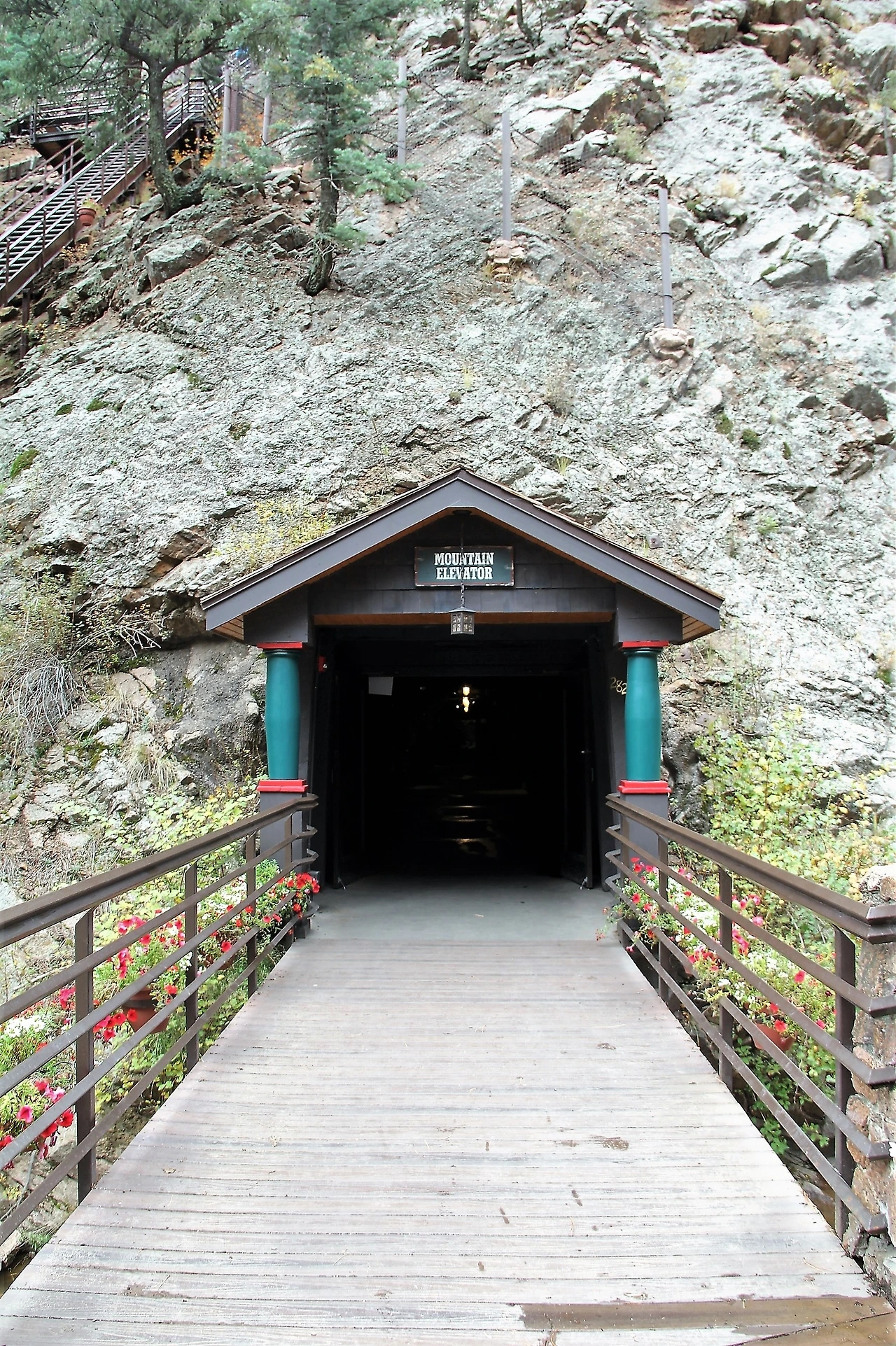 Aspen Foliage (129).JPG