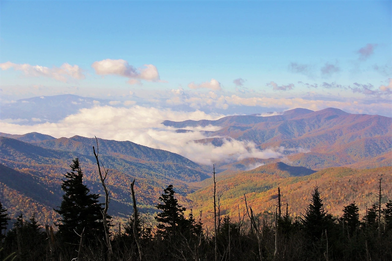 Country Music 여행 (121).JPG