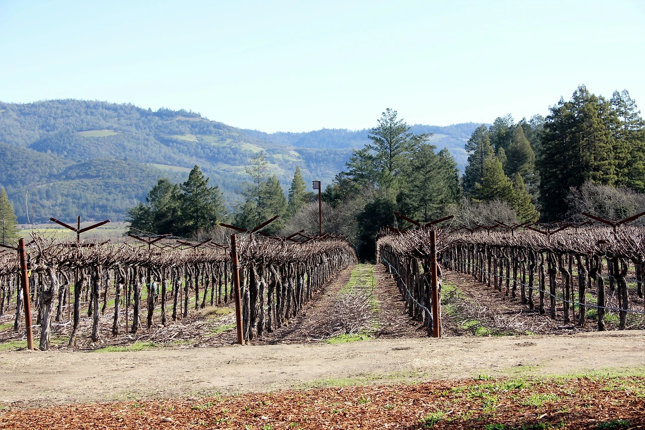 San Francisco & Napa (466).JPG