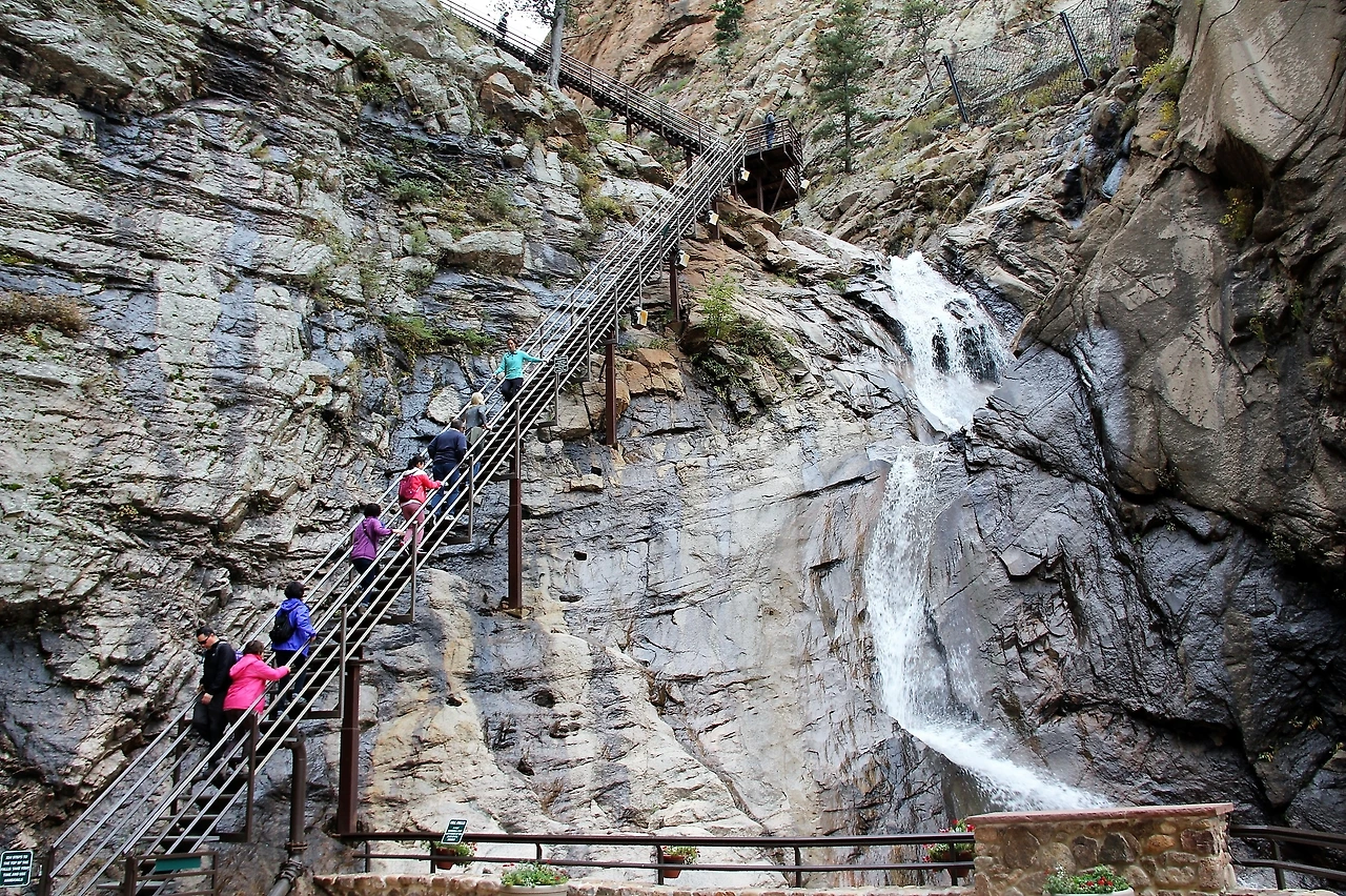 Aspen Foliage (86).JPG