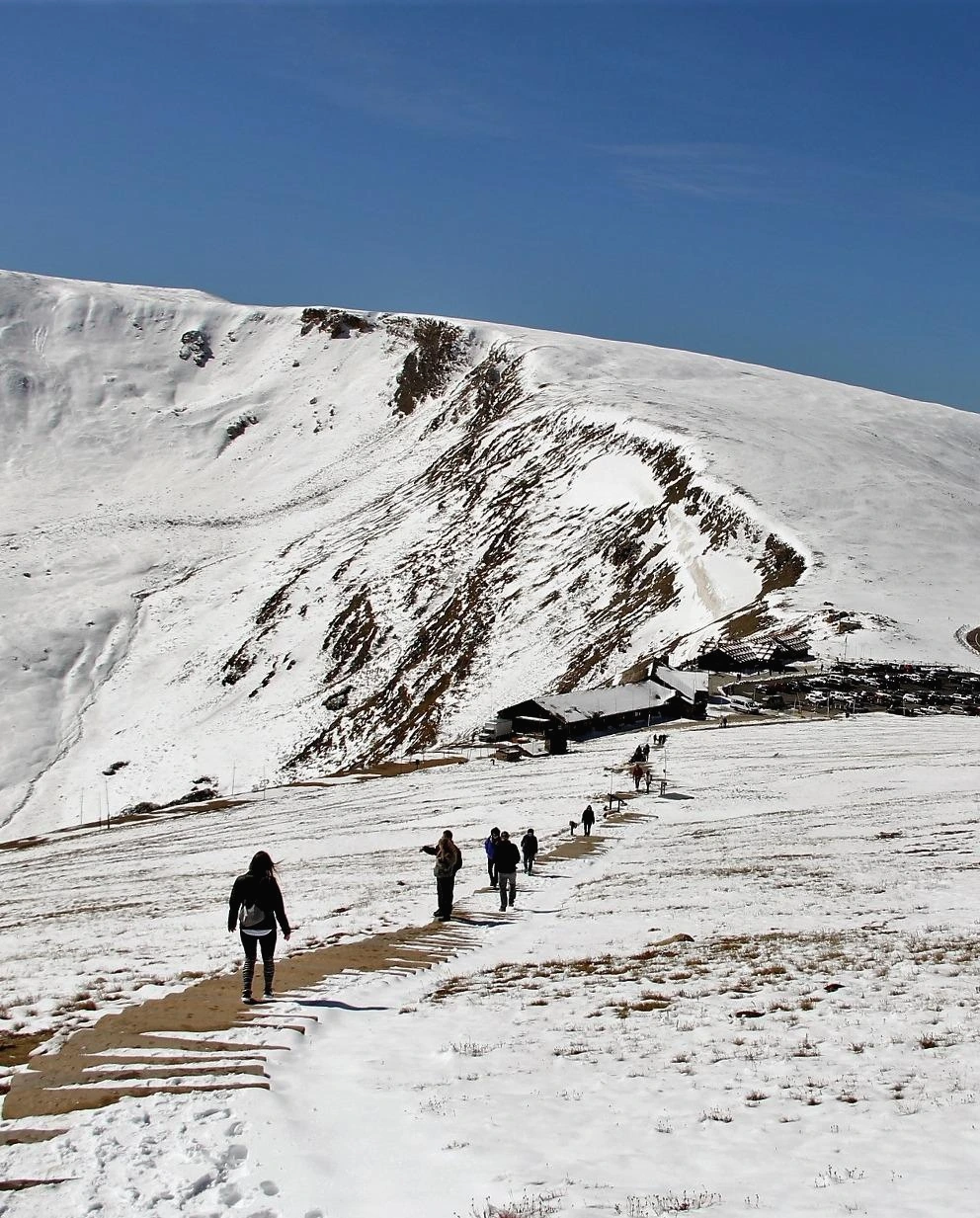 Aspen Foliage (296).JPG