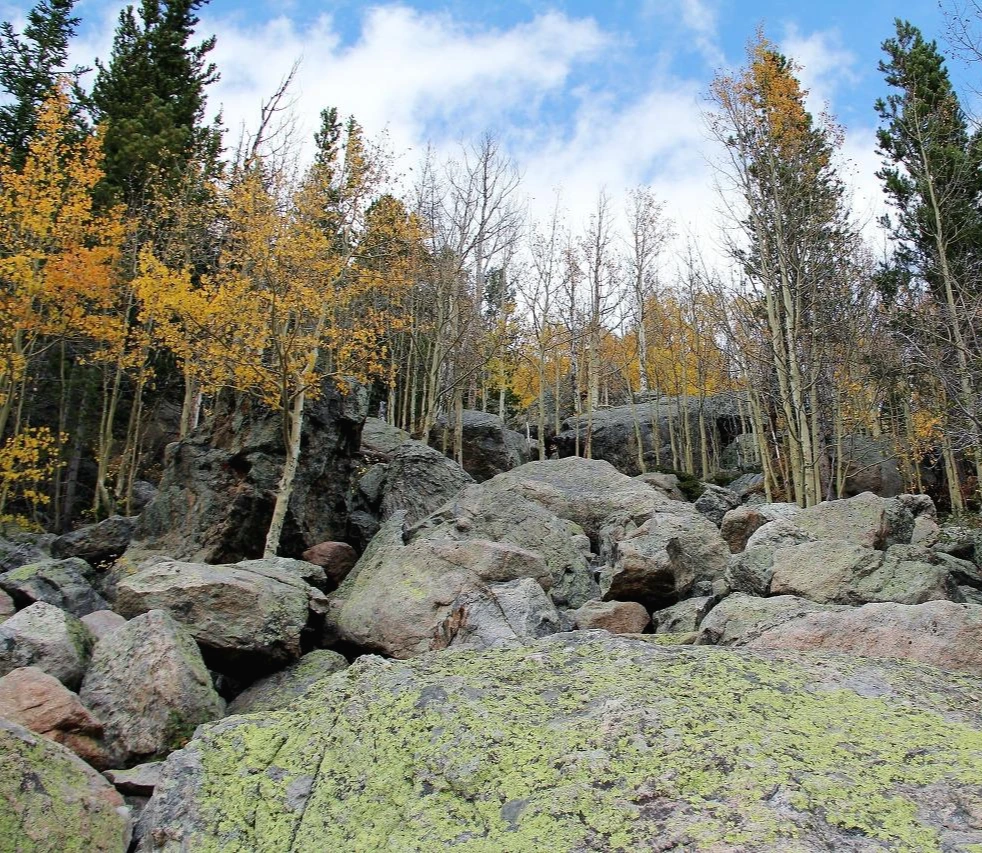 베어레이크 (1).JPG