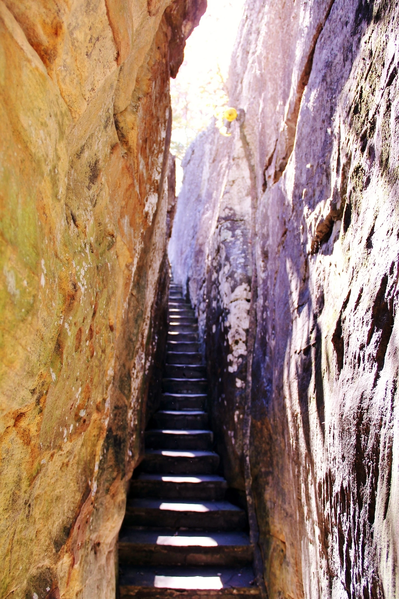 Country Music 여행 (758).JPG