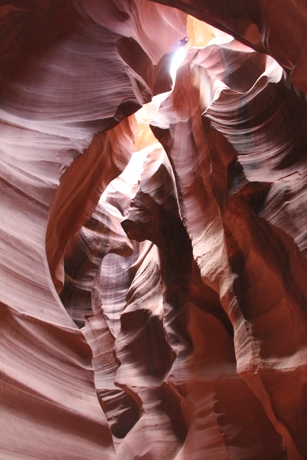 Arizona & Colorado (545).JPG