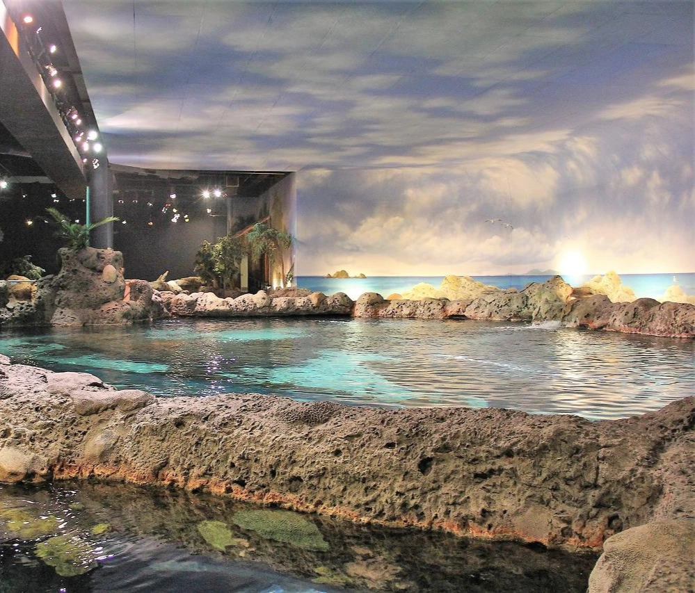 Smoky Mountains을 향해 (406).JPG