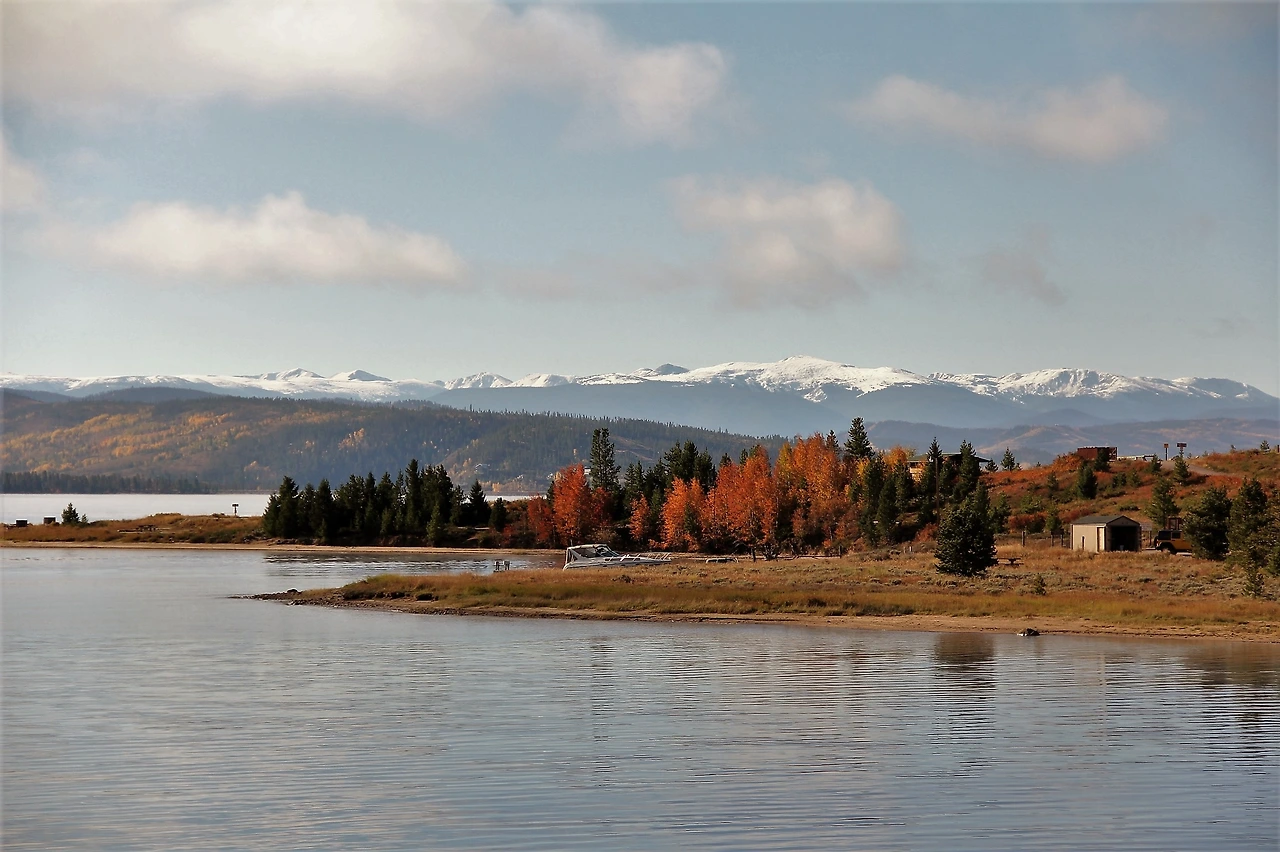 Aspen Foliage (208).JPG