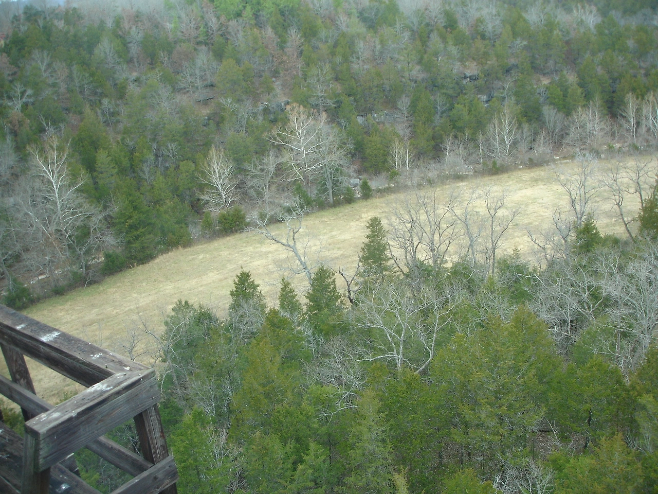 미조리 Branson (328)-Andy-PC.JPG