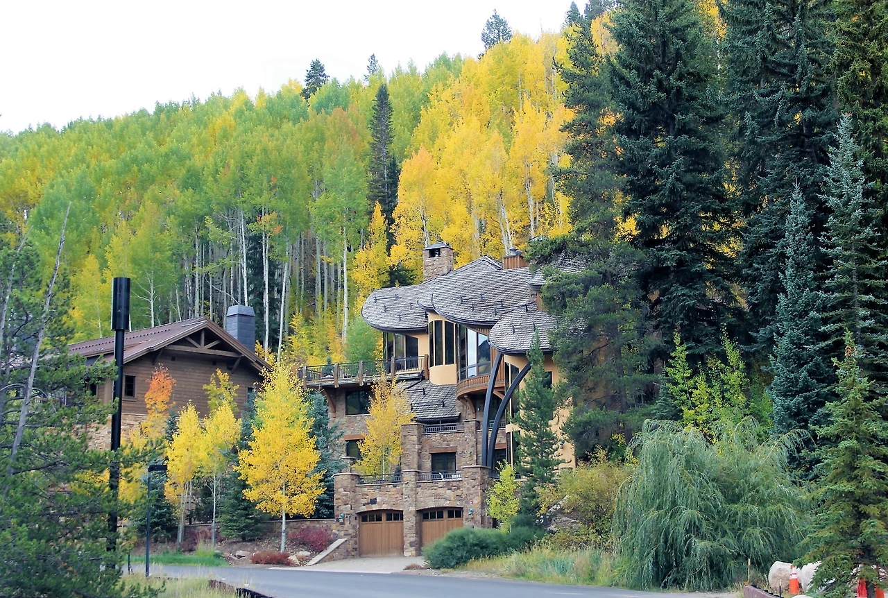 Aspen Foliage (536).JPG